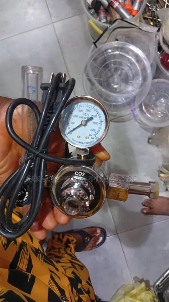 CO2 Heated Gas Pressure Regulator