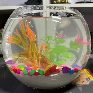 Fish Bowl Aquarium
