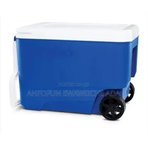 38 Quarts Igloo Cooler