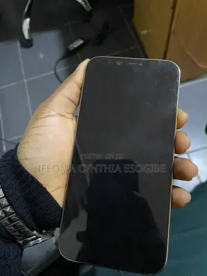 Apple iPhone 12 Pro Max 256 GB White