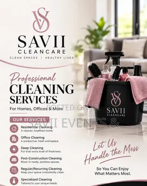 Professional Cleaning Home Maintenance