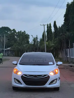 Hyundai Elantra GT 2013 White