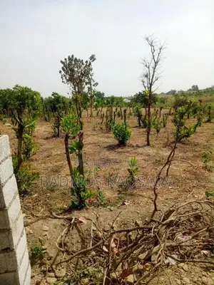 Prime Estate Land for Sale