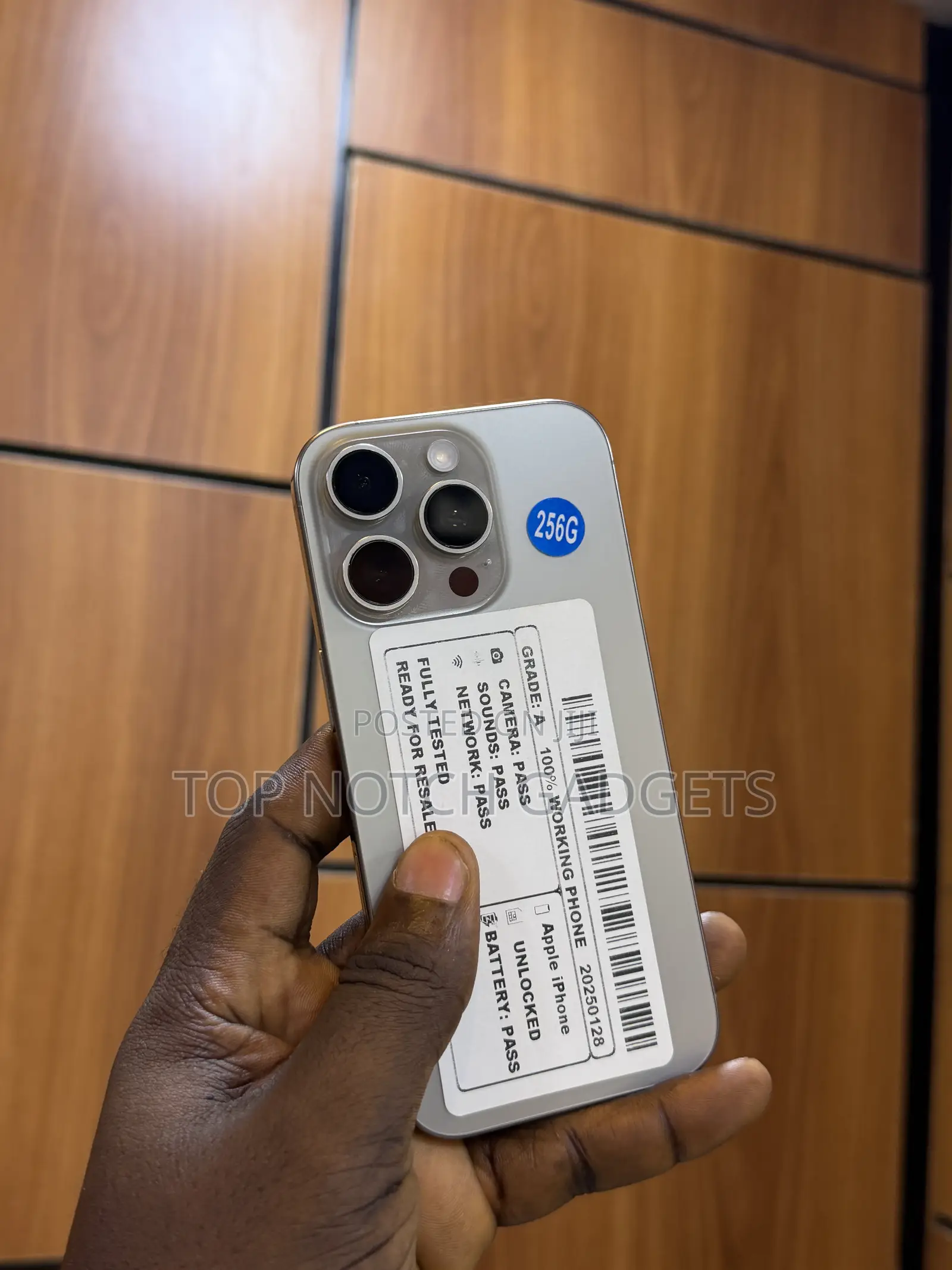 Apple iPhone 16 Pro 256 GB Silver