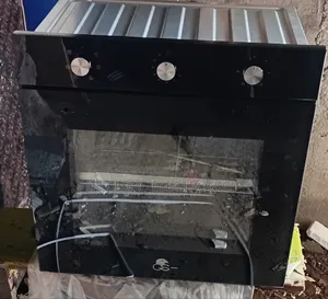 GS Built in Electric Oven With Chicken Roaster