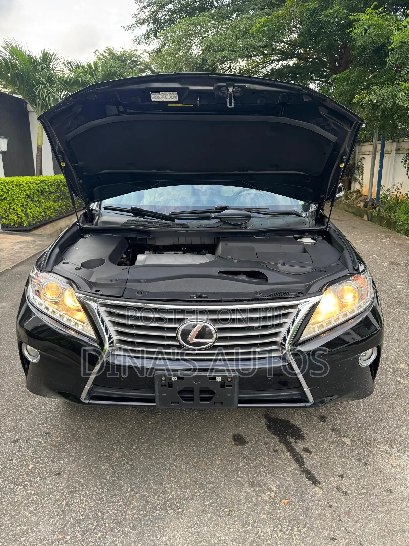 Lexus RX 2013 Black