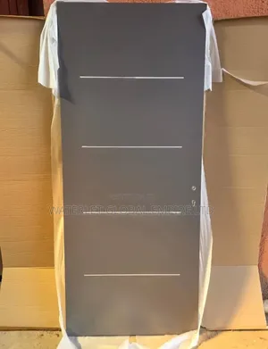 Modern Charcoal Flush Isreali Door With Metallic Inrays
