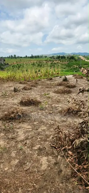 350 Square Meter Estate Plot for a 3 Bedroom Bungalow and BQ