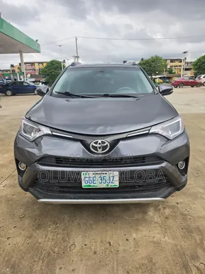 Toyota RAV4 XLE 4dr SUV (2.5L 4cyl 6A) 2014 Gray