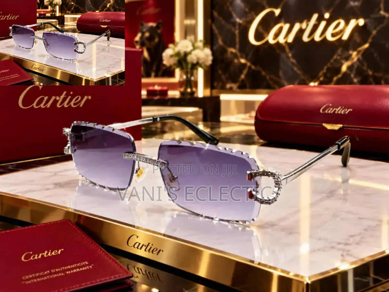 Sleek Rectangular Eyeglasses / Sunglasses