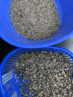 Vitex Chaste Berry Angus