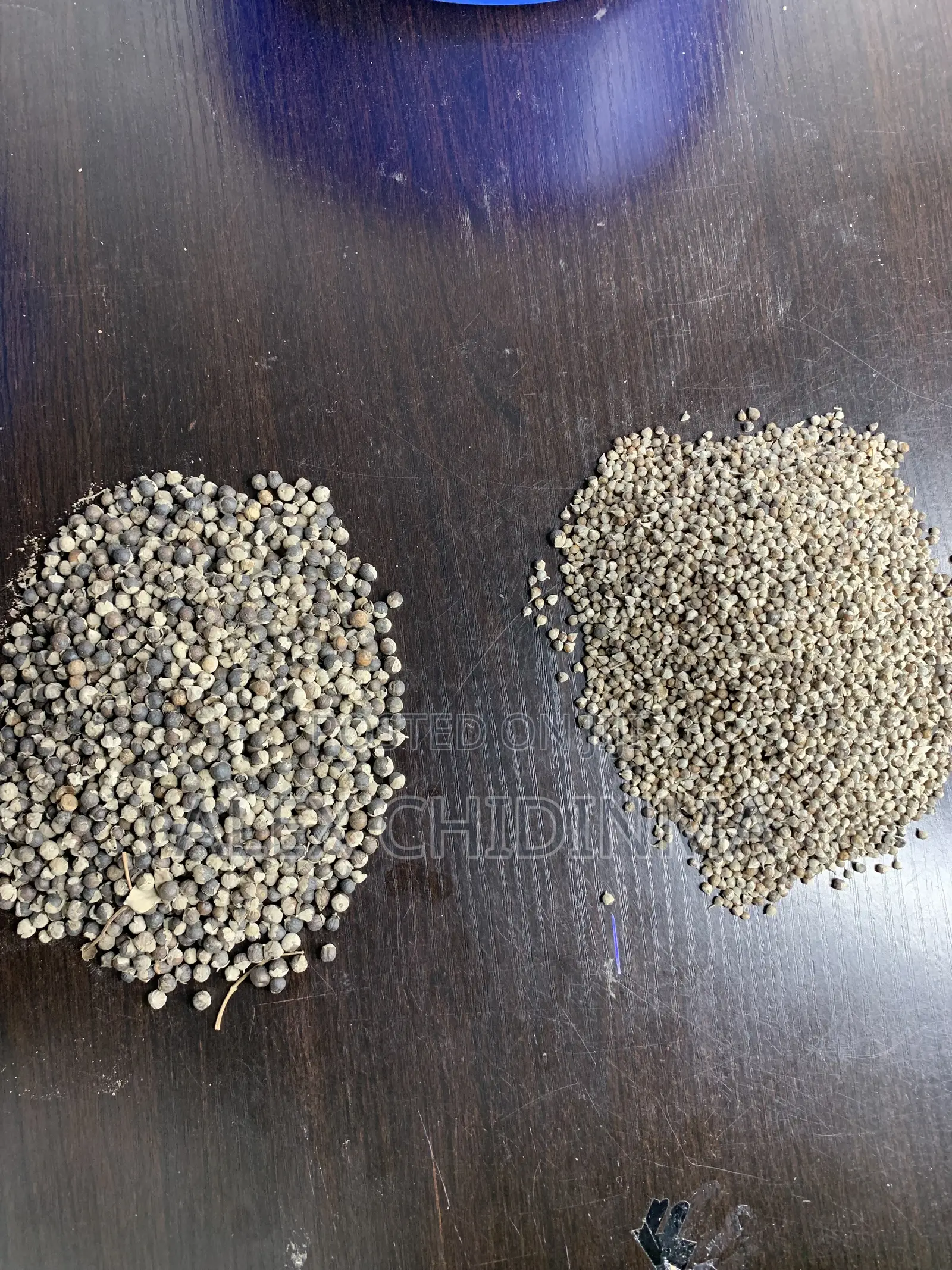 Vitex Chaste Berry Angus