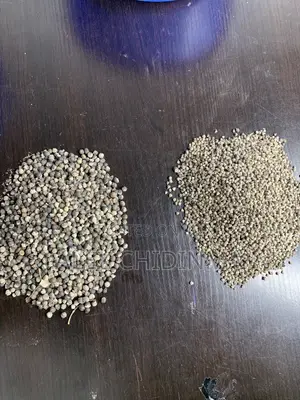 Vitex Chaste Berry Angus
