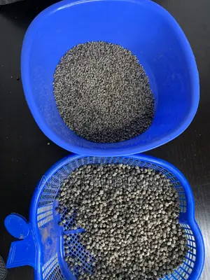 Vitex Chaste Berry Angus