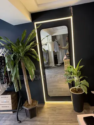 Large Full-Length LED Backlit Dressing Mirror
