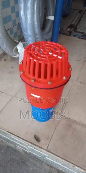 Foot Valve