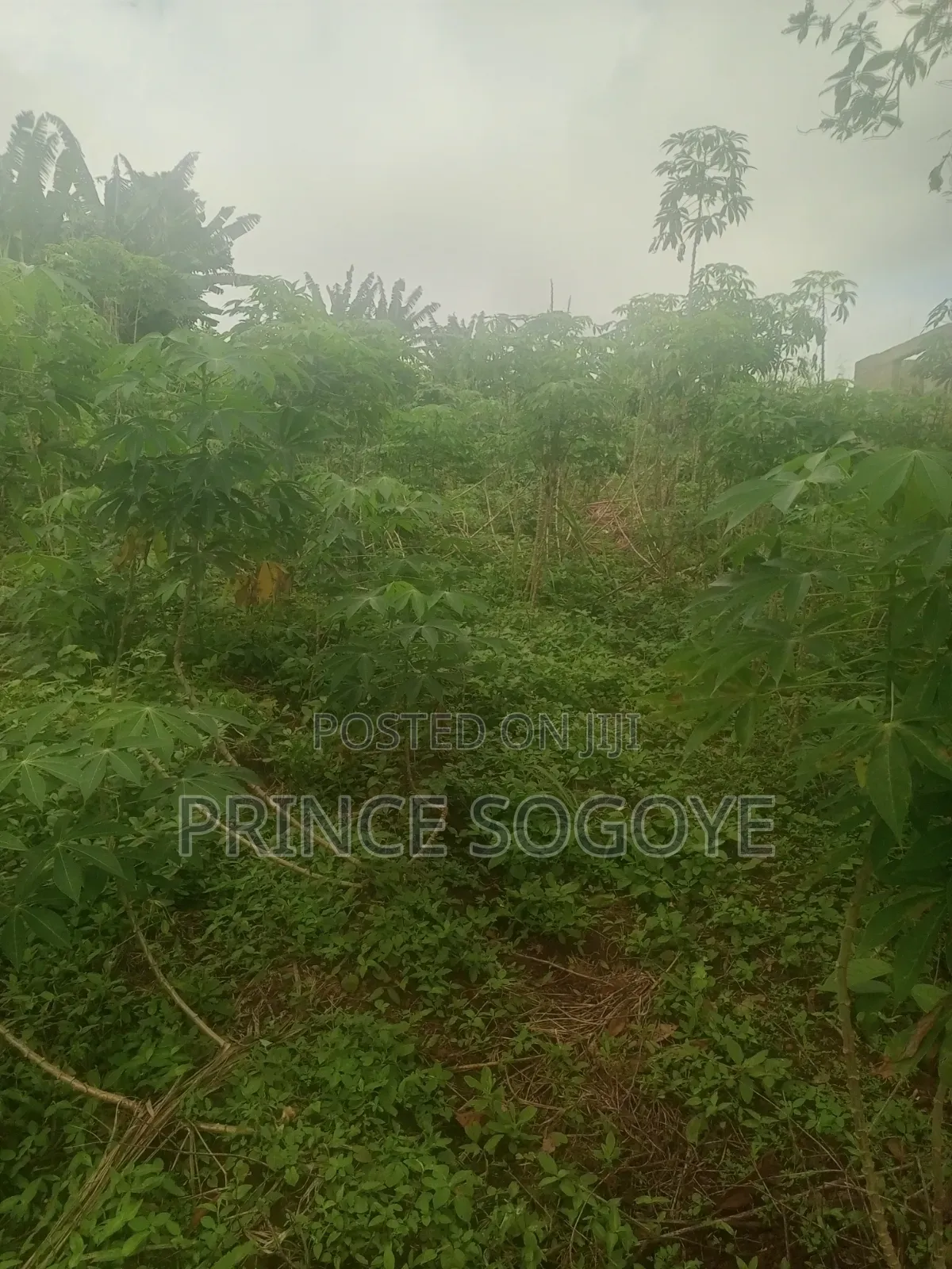 A Plot of Land