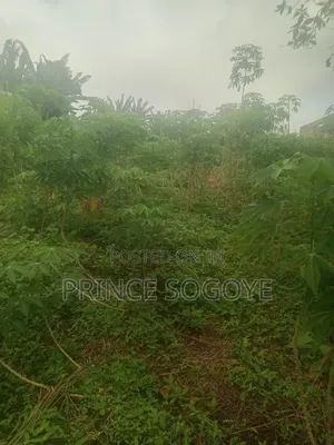 A Plot of Land