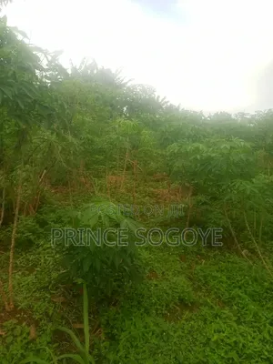 A Plot of Land