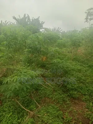 A Plot of Land