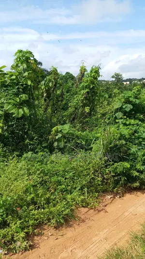 Affordable Acres of Land at Oluyole Lga Ibadan