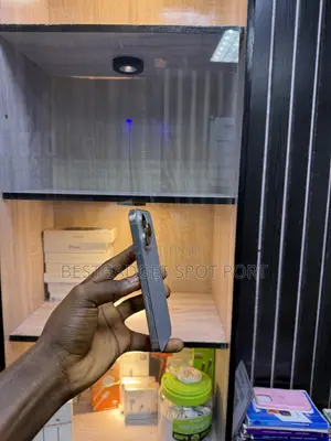 Apple iPhone 16 Pro 256 GB