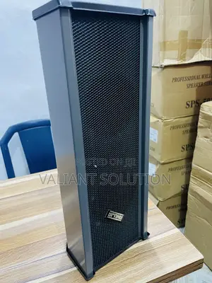 Ahuja 100v Column Wall Speaker