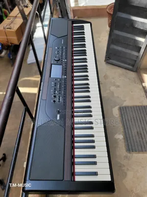 Korg Havian 30