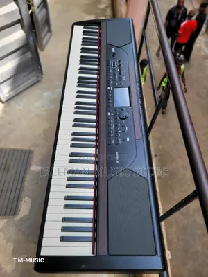 Korg Havian 30