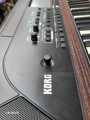 Korg Havian 30
