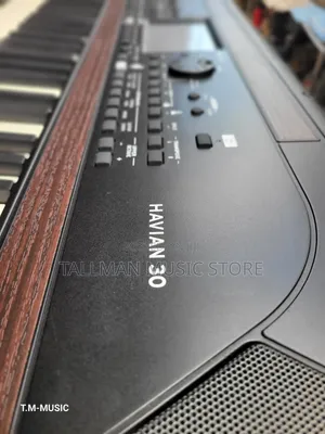 Korg Havian 30