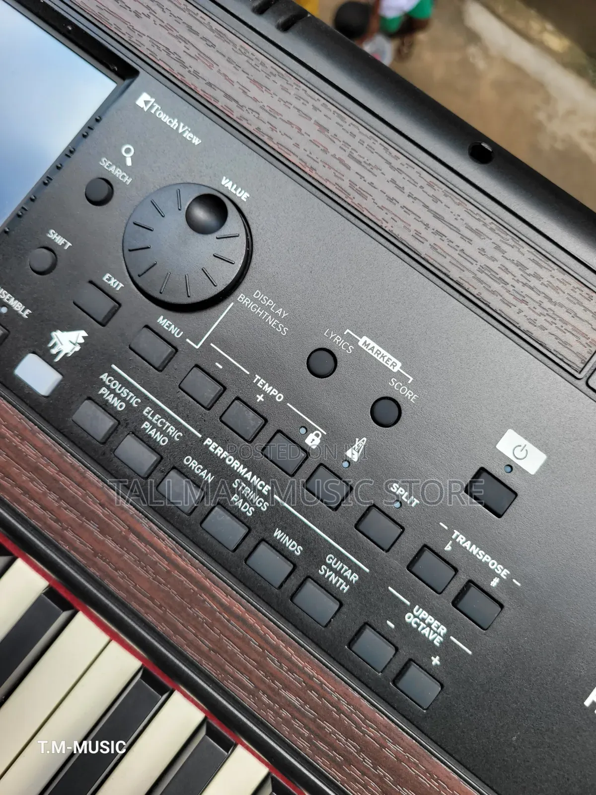 Korg Havian 30