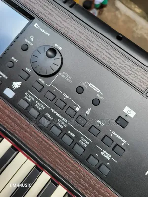 Korg Havian 30