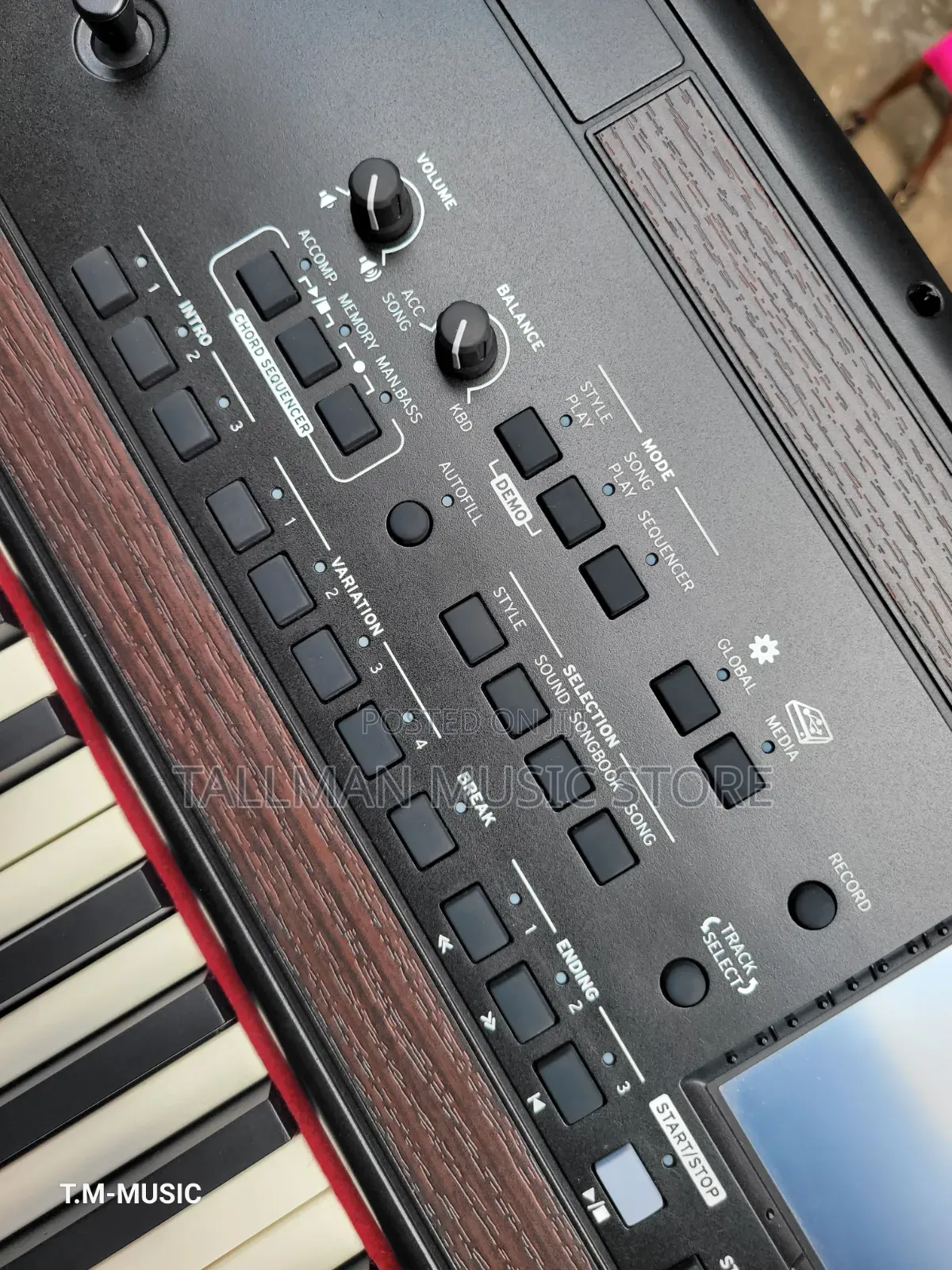 Korg Havian 30