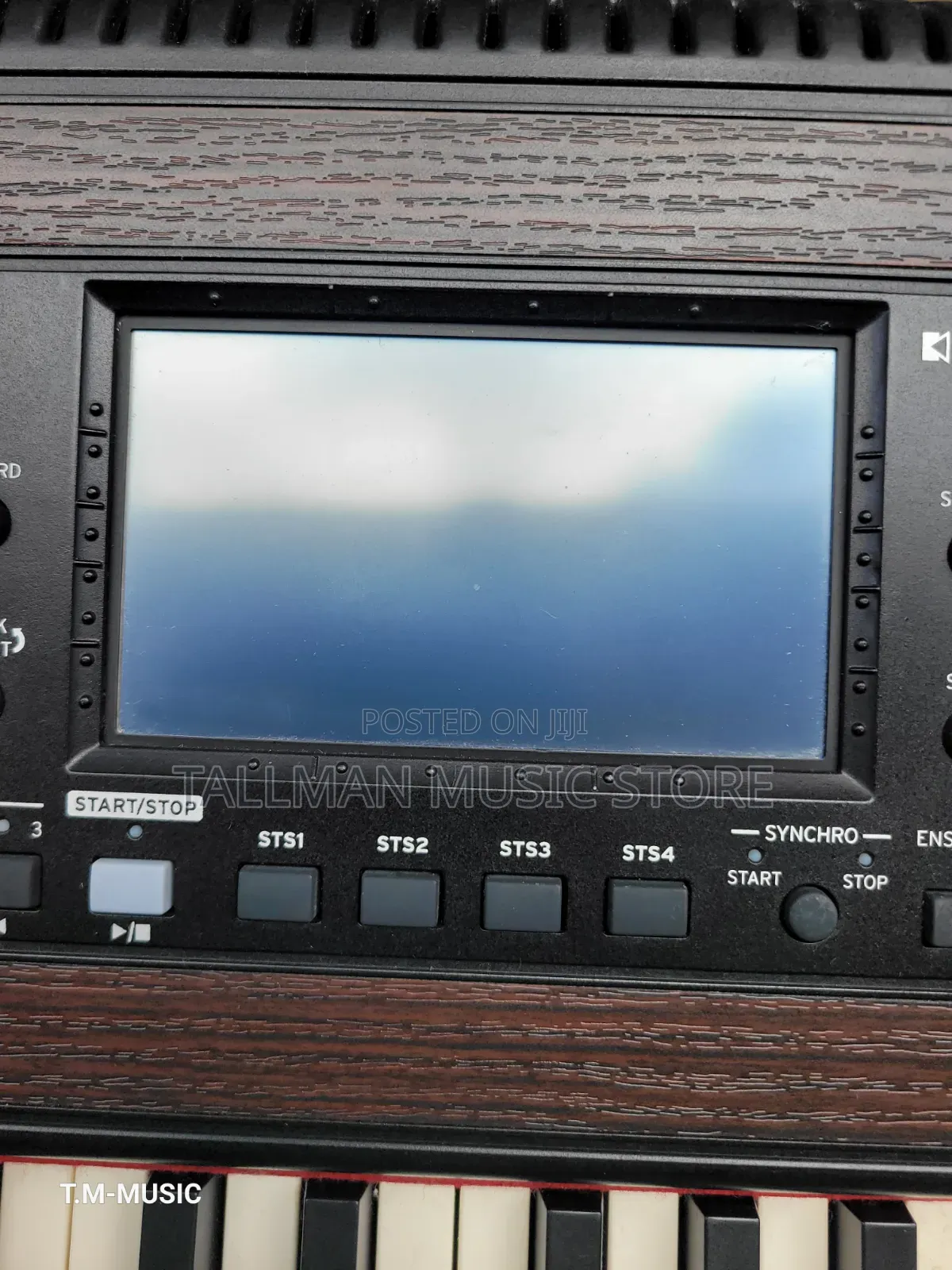 Korg Havian 30