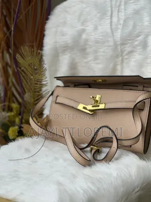 Classy Female Handbag