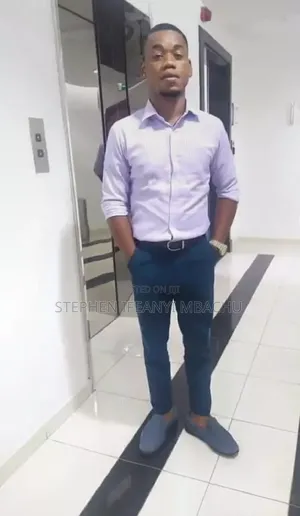 Mr Stephen Ifeanyi Mbachu