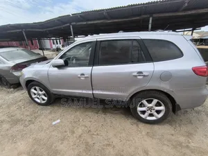 Hyundai Santa Fe 2007 Gray
