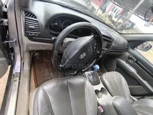 Hyundai Santa Fe 2007 Gray