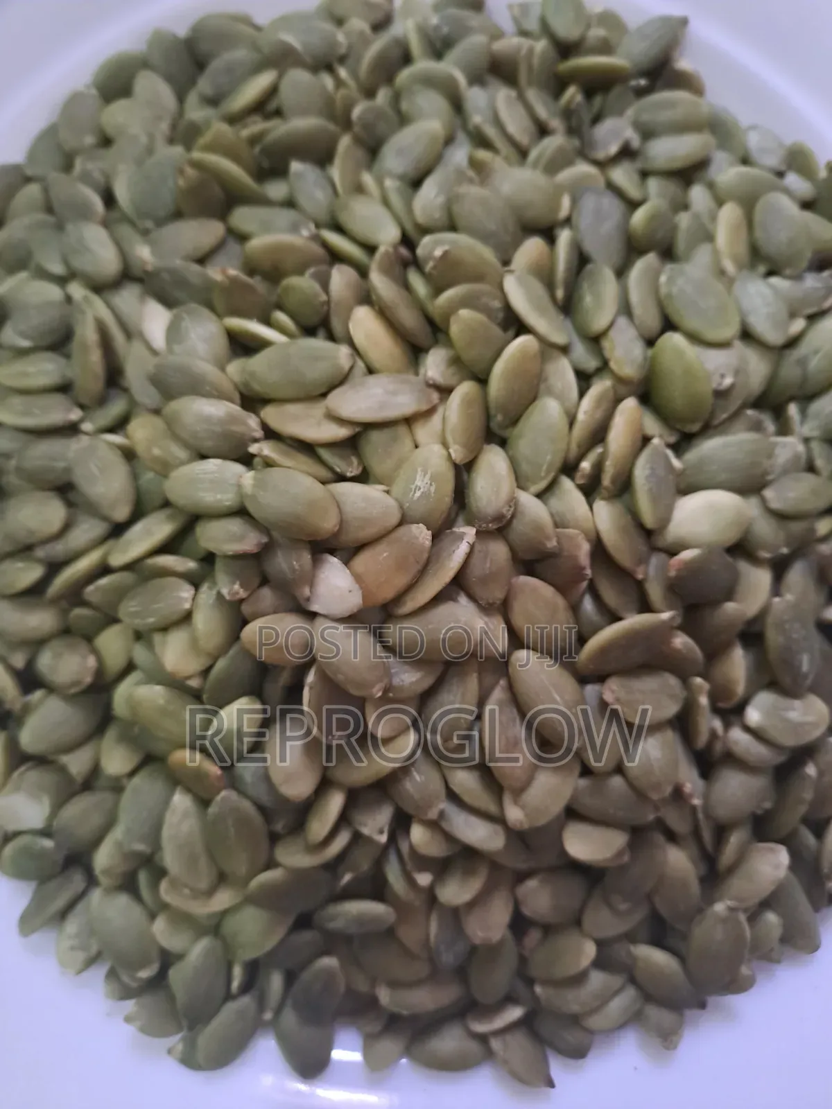 Pumpkin Seed
