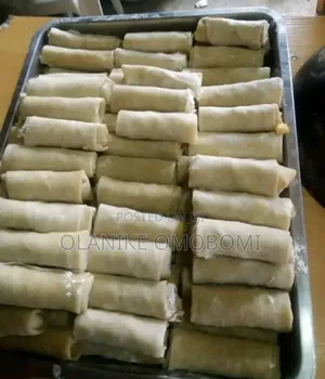 Samosa and Spring Rolls