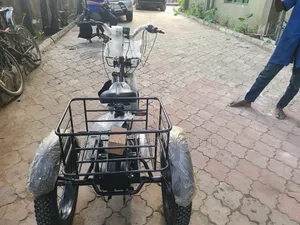 Adult 3- Wheel Electric Bicycle