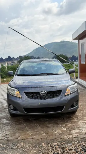 Toyota Corolla LE 4dr Sedan (1.8L 4cyl 4A) 2010 Gray