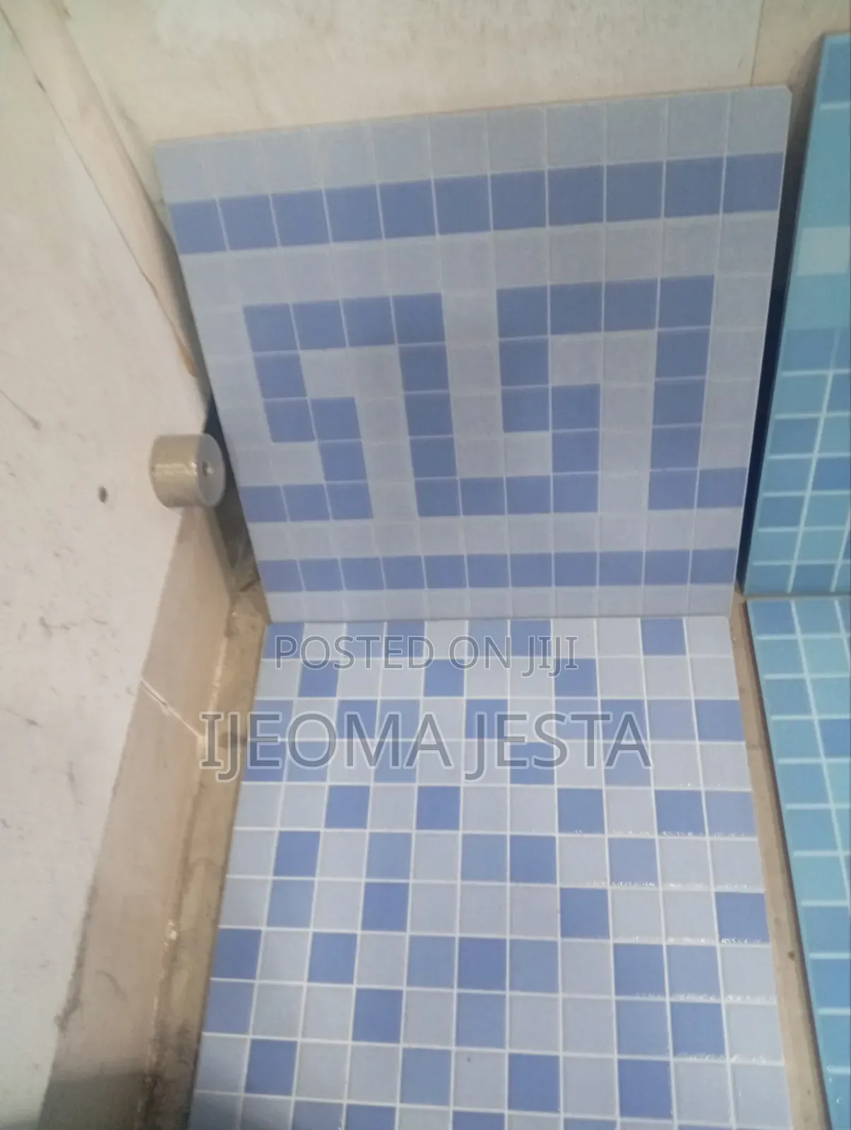 Swimming Pool Tiles