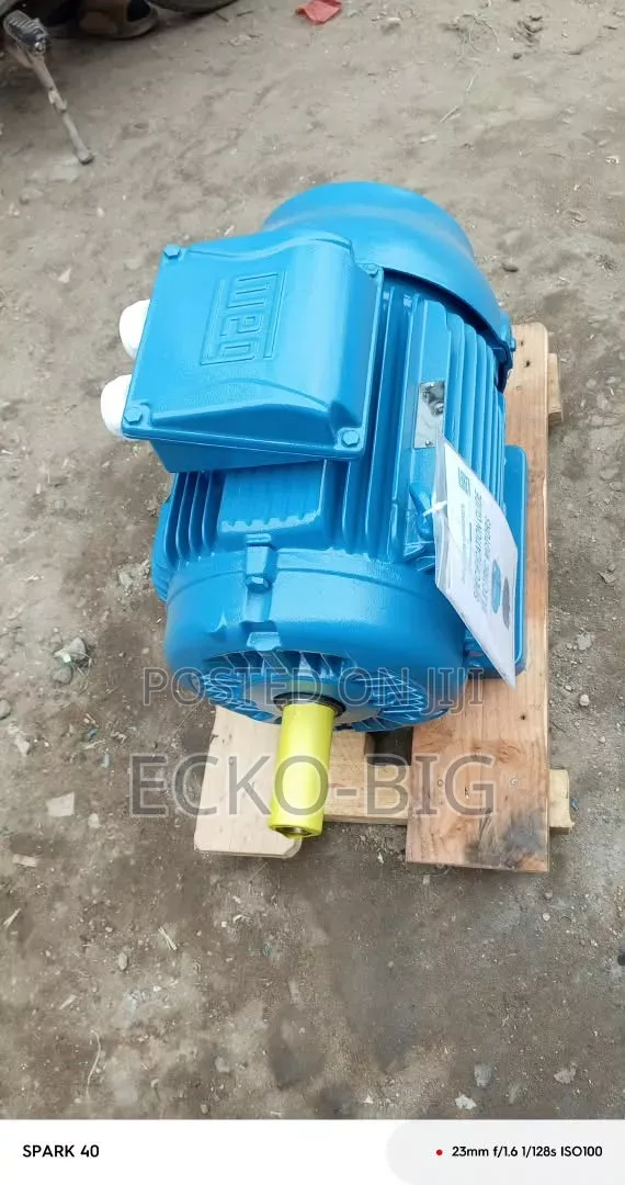 WEG Electric Motor