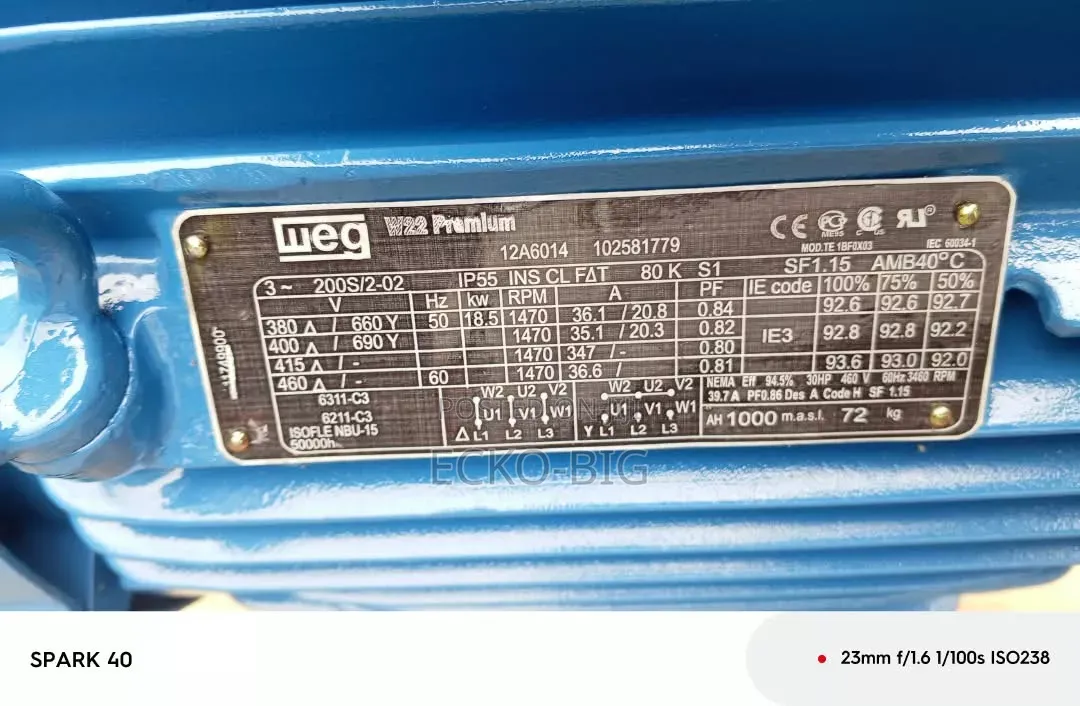 WEG Electric Motor