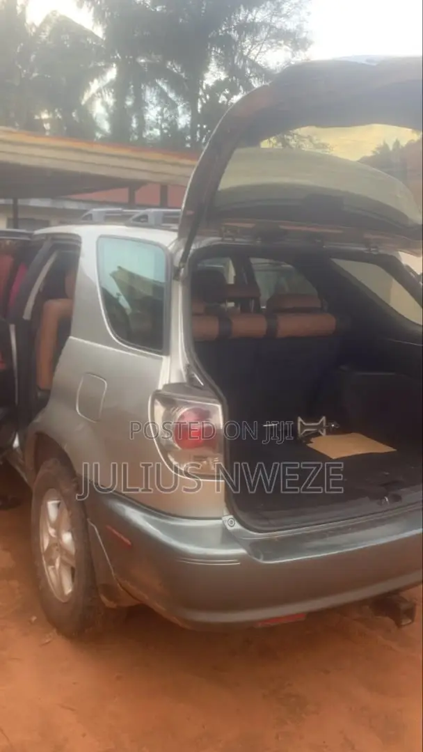 Lexus RX 2003 Silver