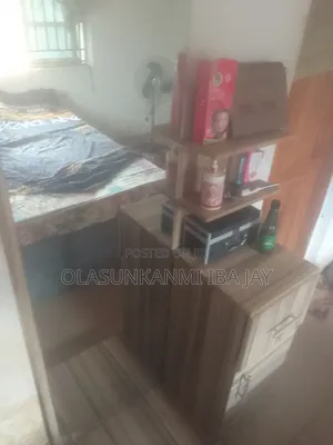 Used Dressing Mirror
