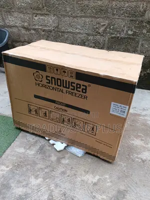 Get Snowsea BD-450G Horizontal Freezer Today