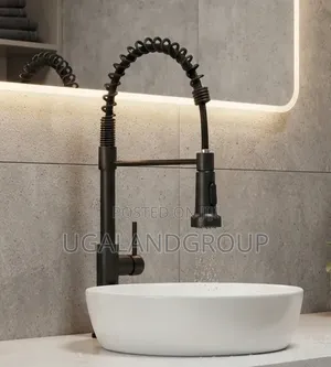Modern Black Pull Down Faucet